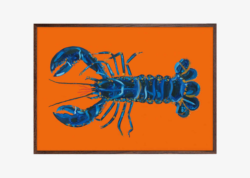 Lobster On Orange