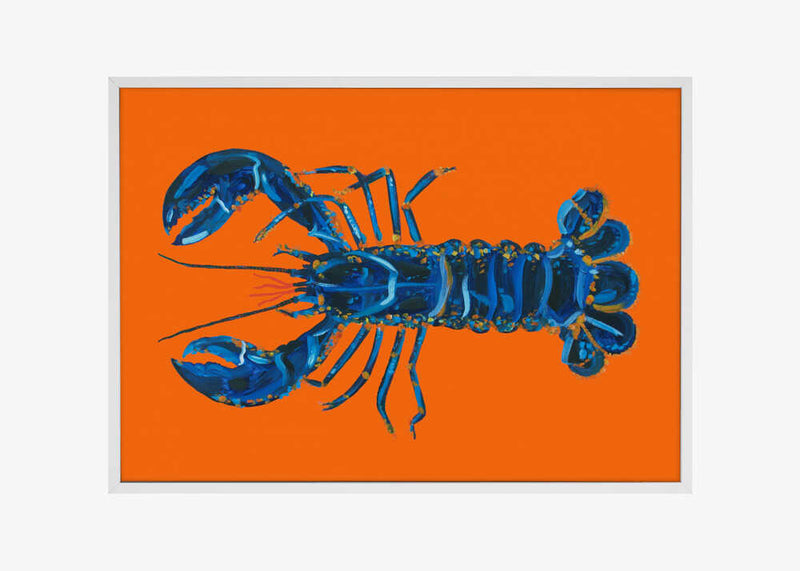 Lobster On Orange
