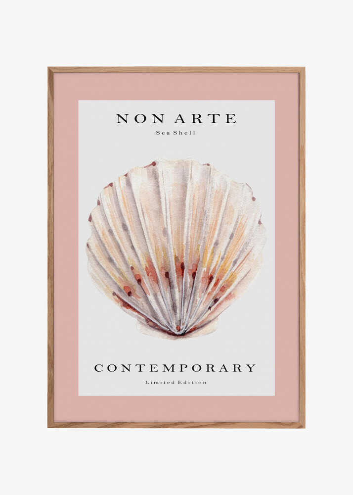 Non Arte Sea Shell no.2