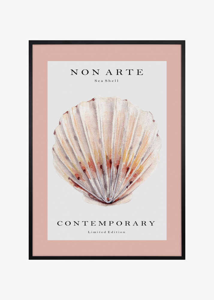 Non Arte Sea Shell no.2
