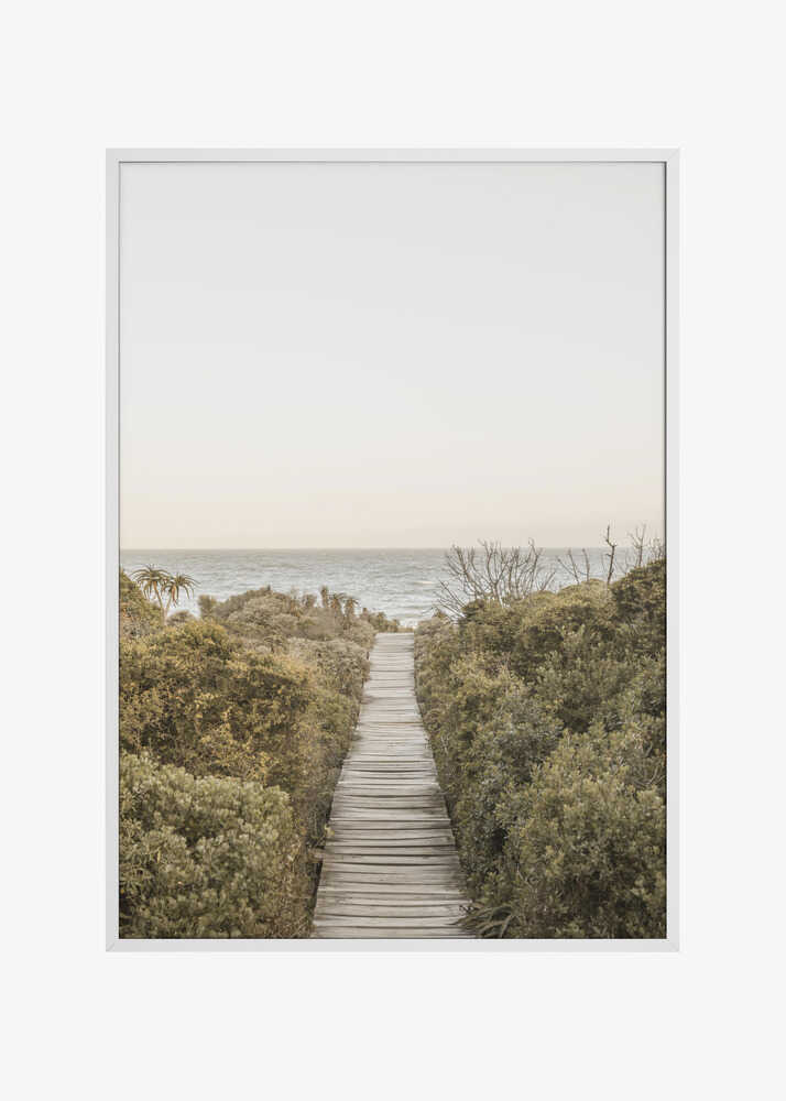 Pathway to Tranquility