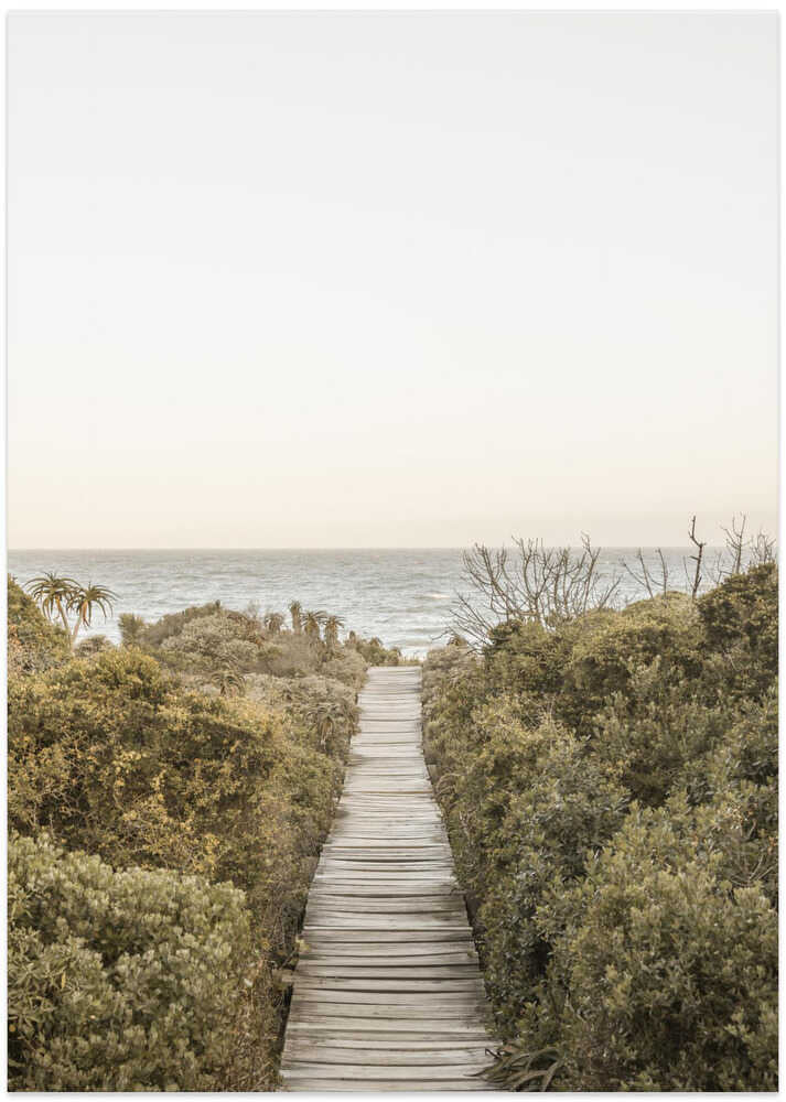 Pathway to Tranquility