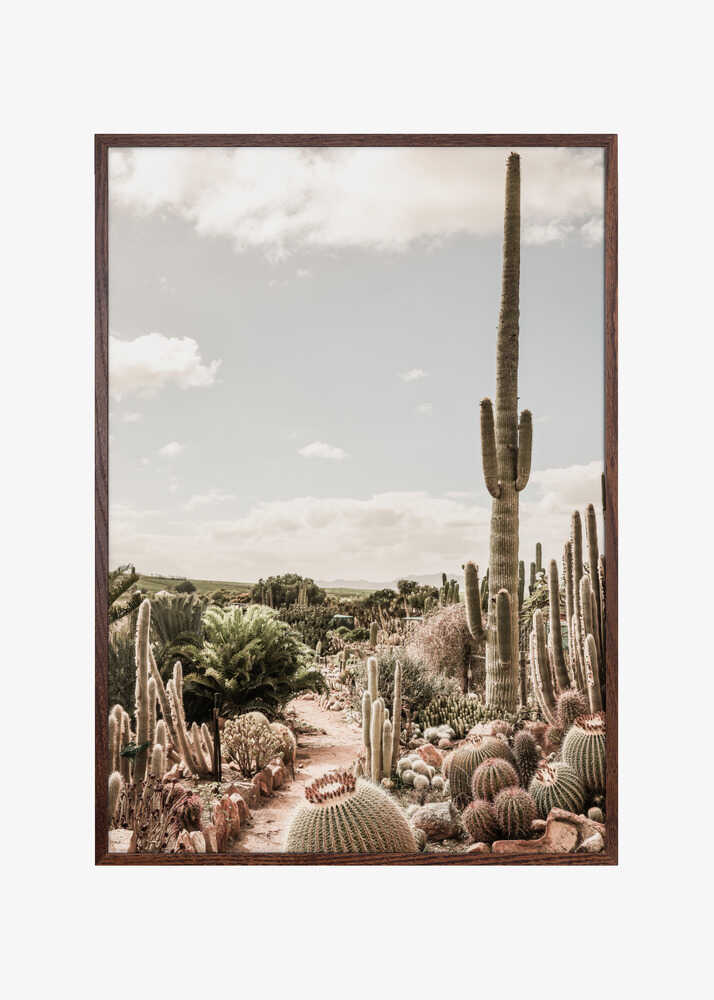 Cactus Farm