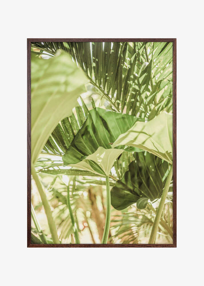 Sunlit Jungle Greens