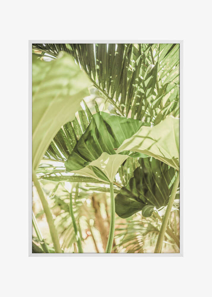 Sunlit Jungle Greens