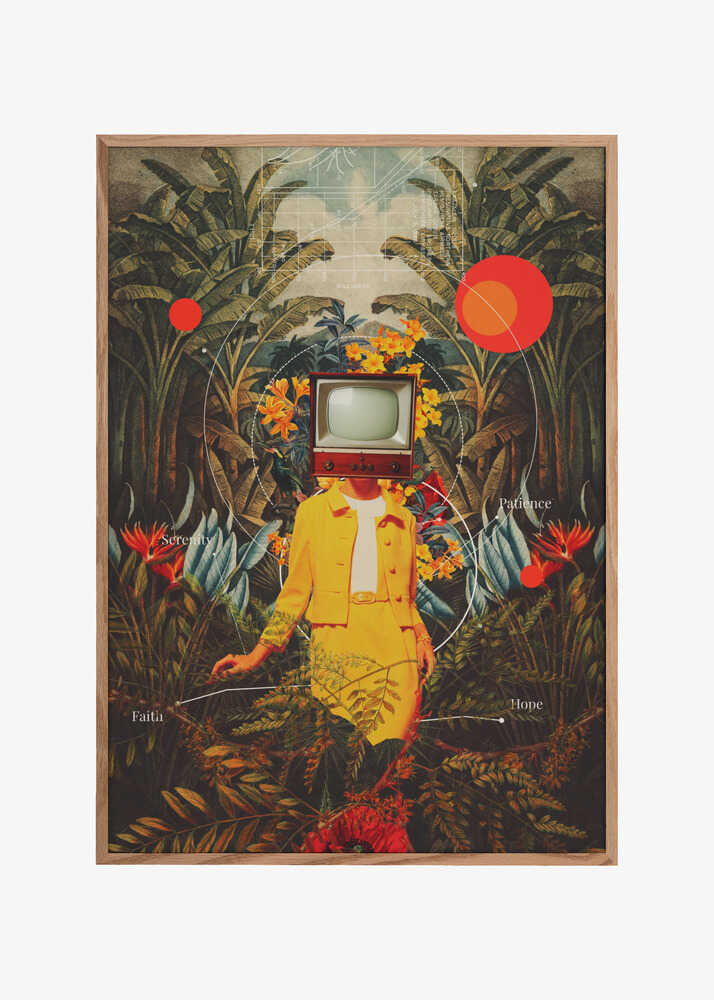 She Came From the Wilderness