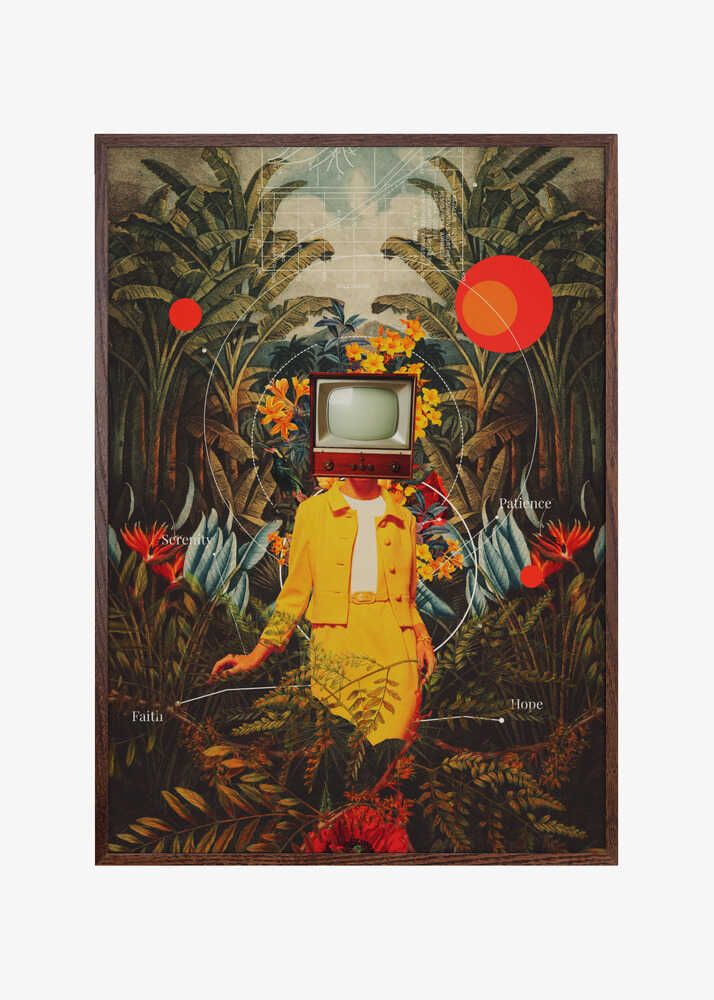 She Came From the Wilderness