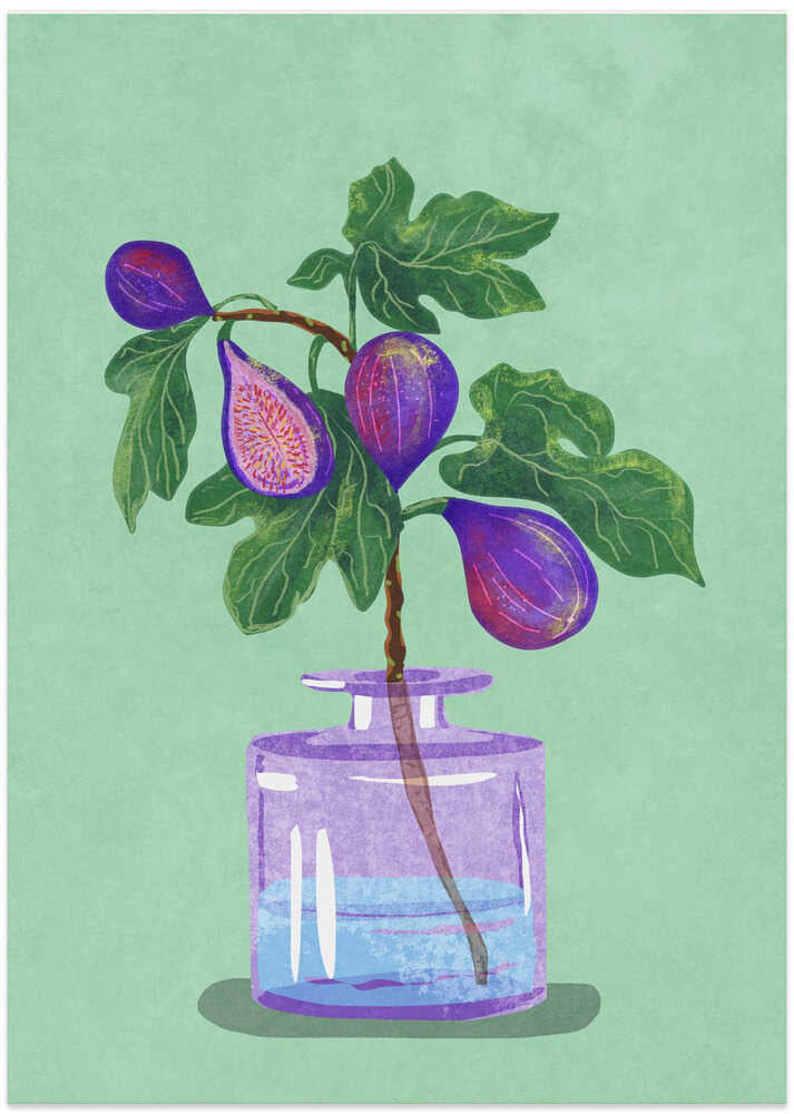 Figs Branch In Vase