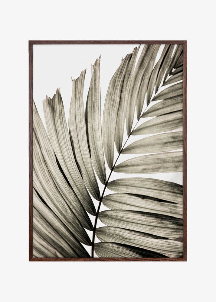 Palm Leaves 22