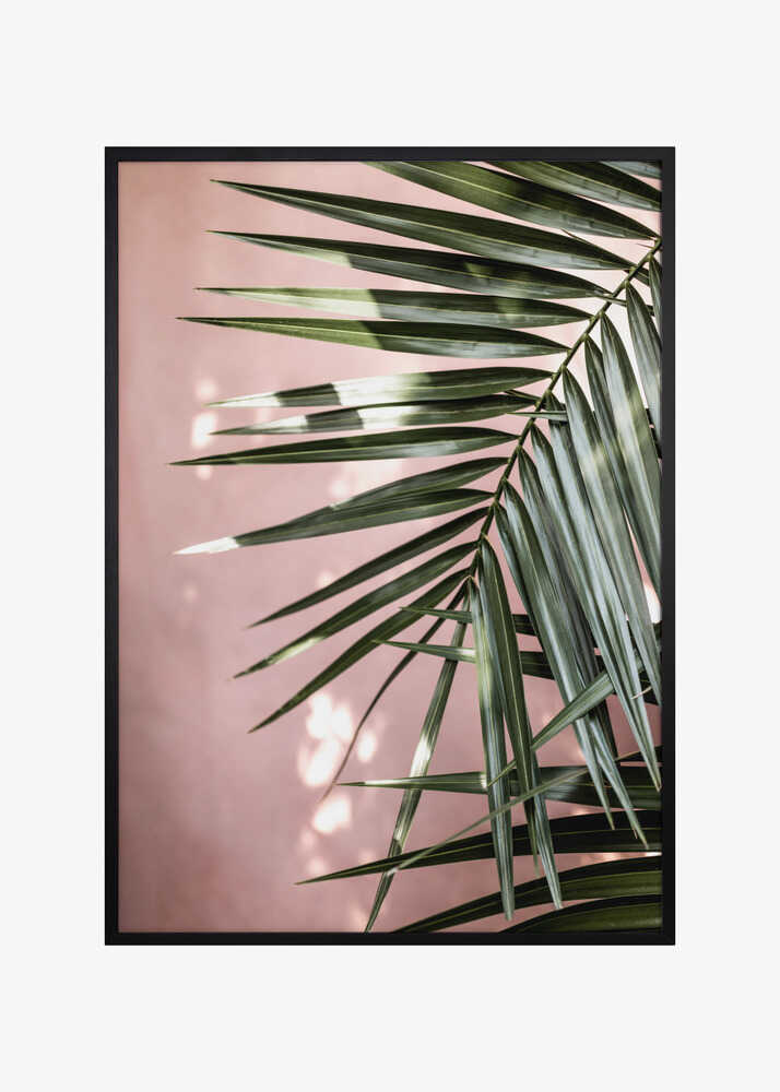 Palm Leaves 23
