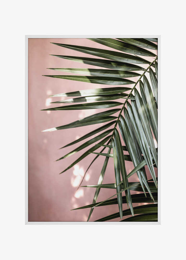Palm Leaves 23