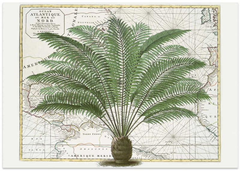 Tropical Empire No5