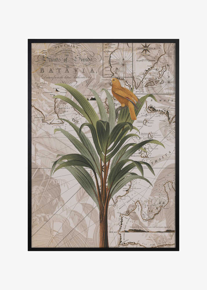 Indonesia Jungle Paradise No2