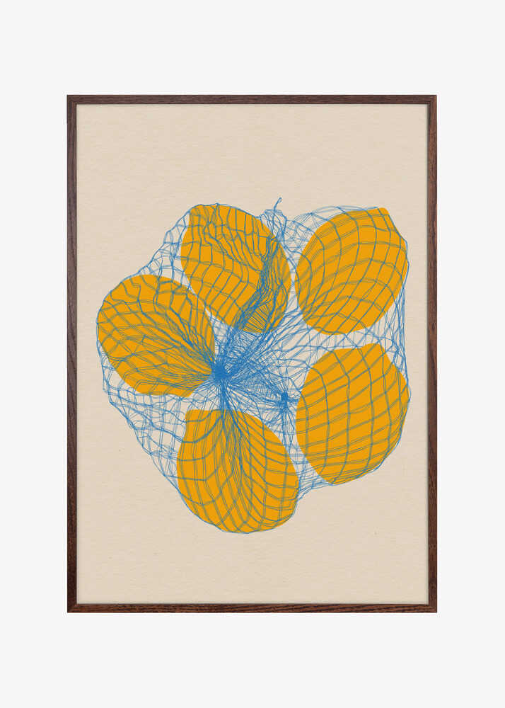 Five Lemons In a Net Bag