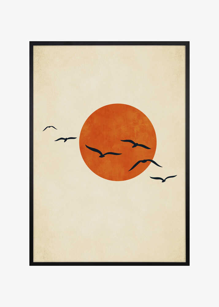 Dancing With the Sun