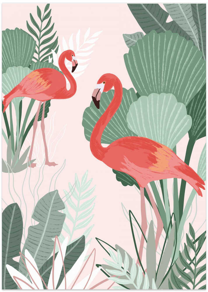 Flamingo Dreams