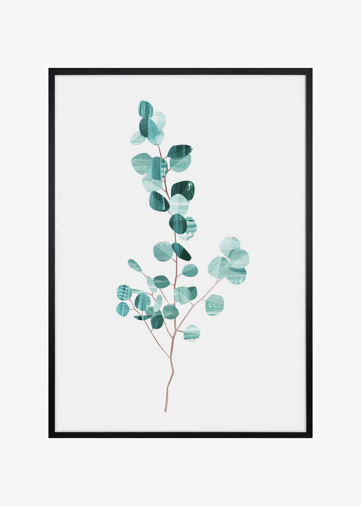 Eucalyptus