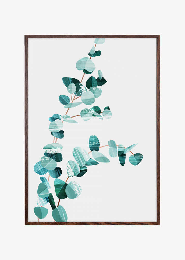 Eucalyptus II