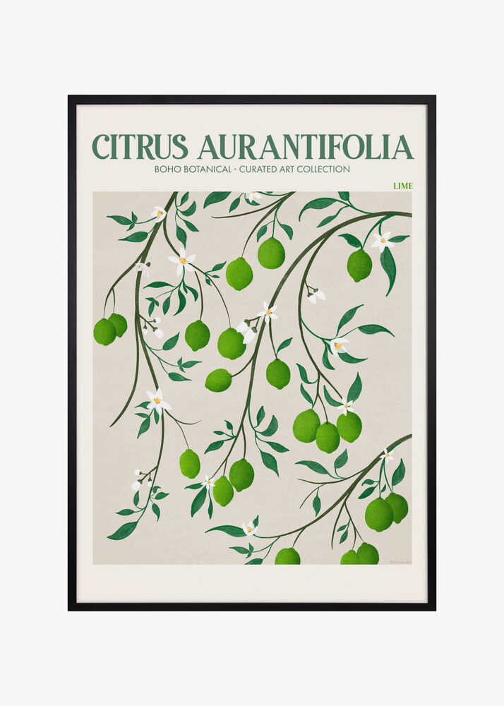 Botanical Lime Bliss