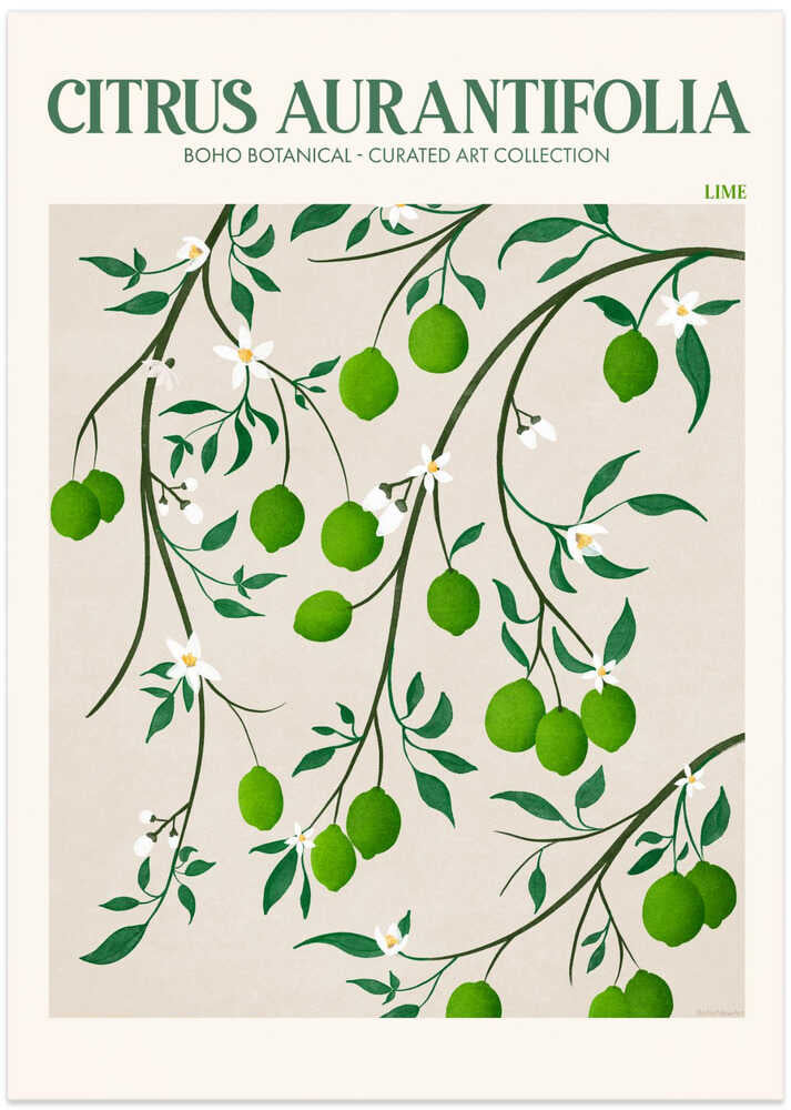 Botanical Lime Bliss