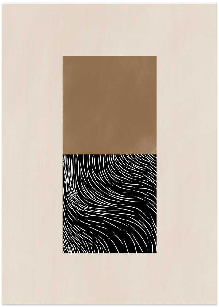 Geometric and Organic Shapes