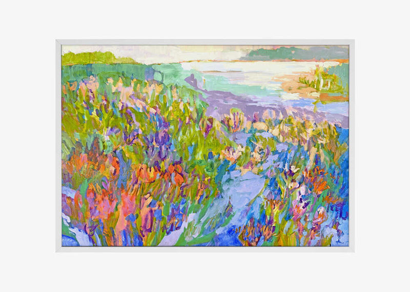 Brilliant Wilderness