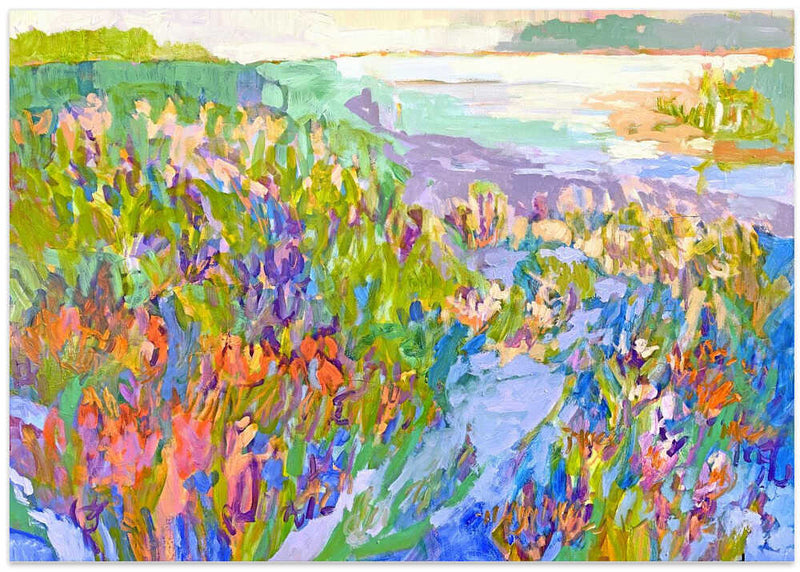 Brilliant Wilderness