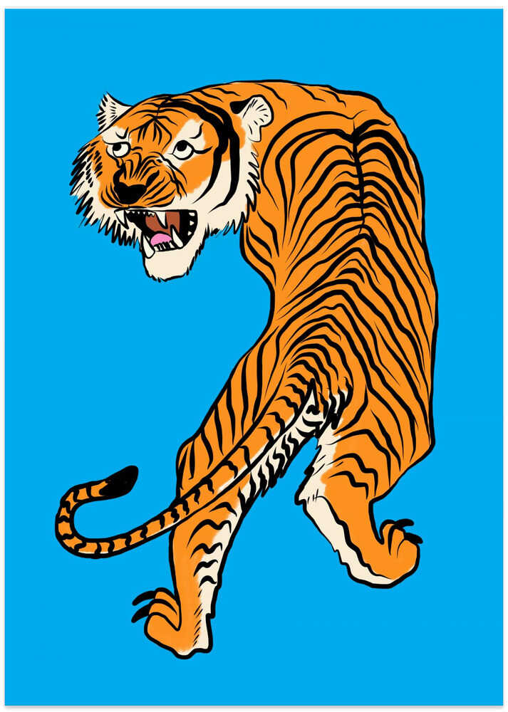 Tiger In Orange and Blue