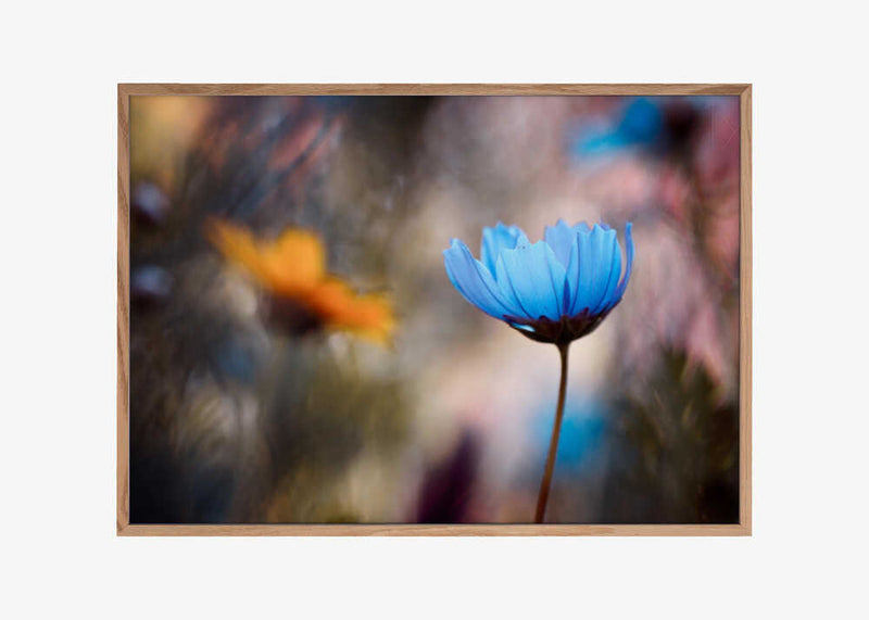 Do you wanna dance with me