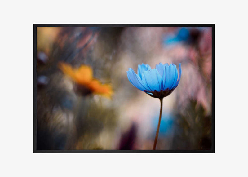 Do you wanna dance with me