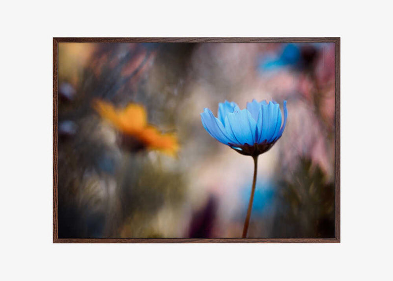 Do you wanna dance with me