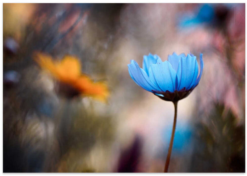 Do you wanna dance with me