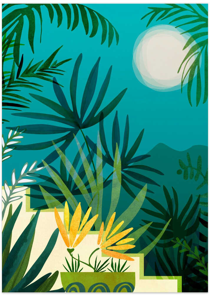 Rainforest With Moonlight