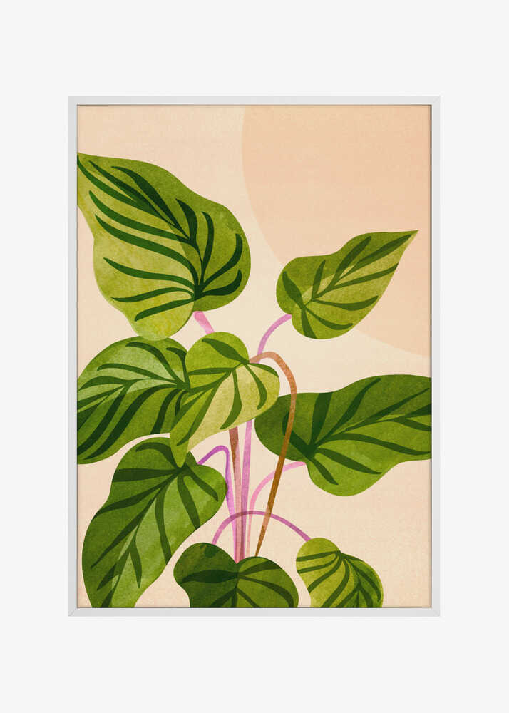 Thriving In the Sun V2