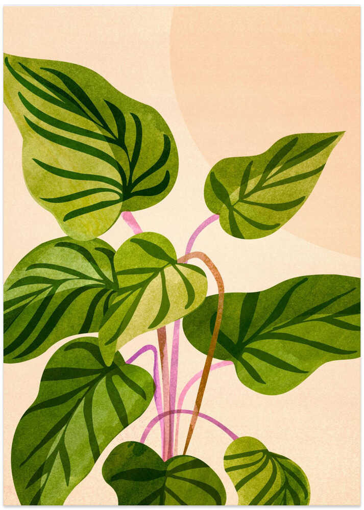 Thriving In the Sun V2