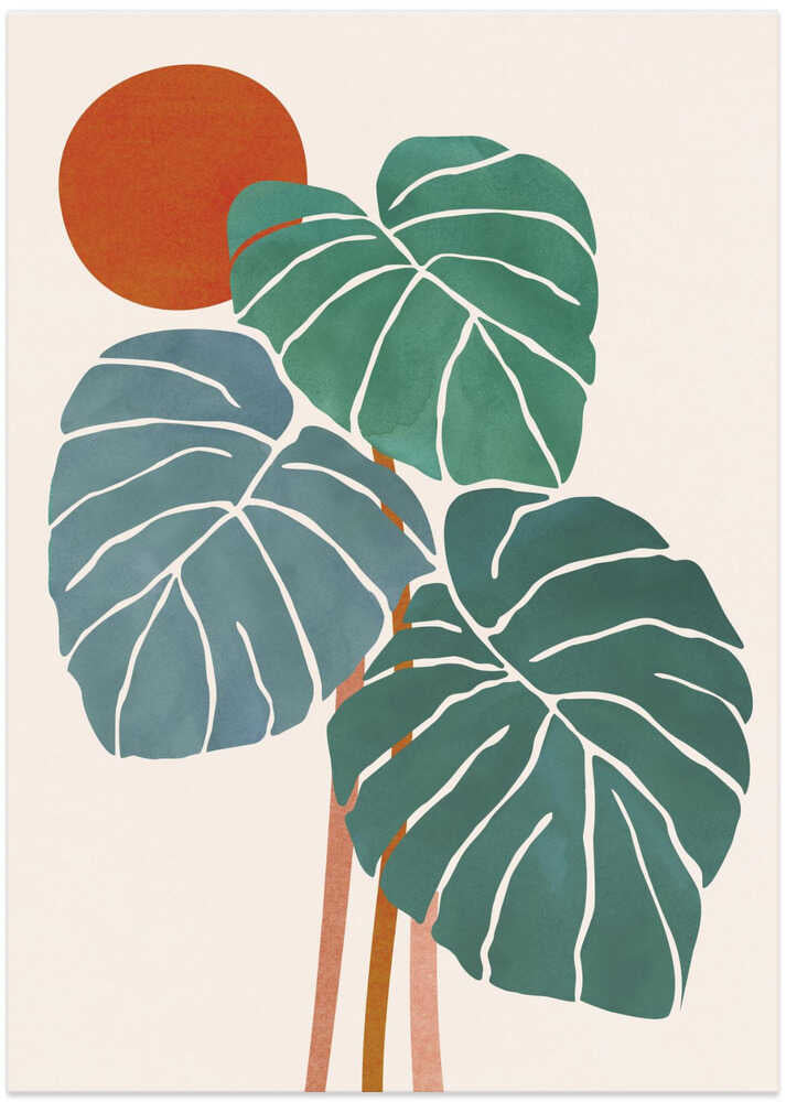 Monstera and Sunshine