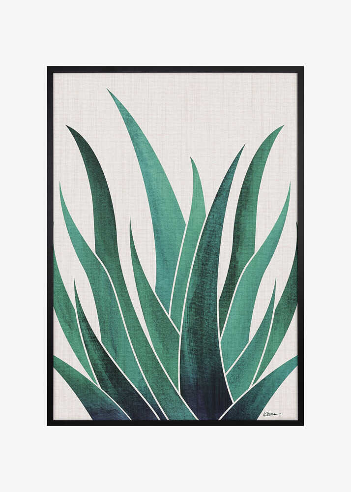 Desert Agave 2