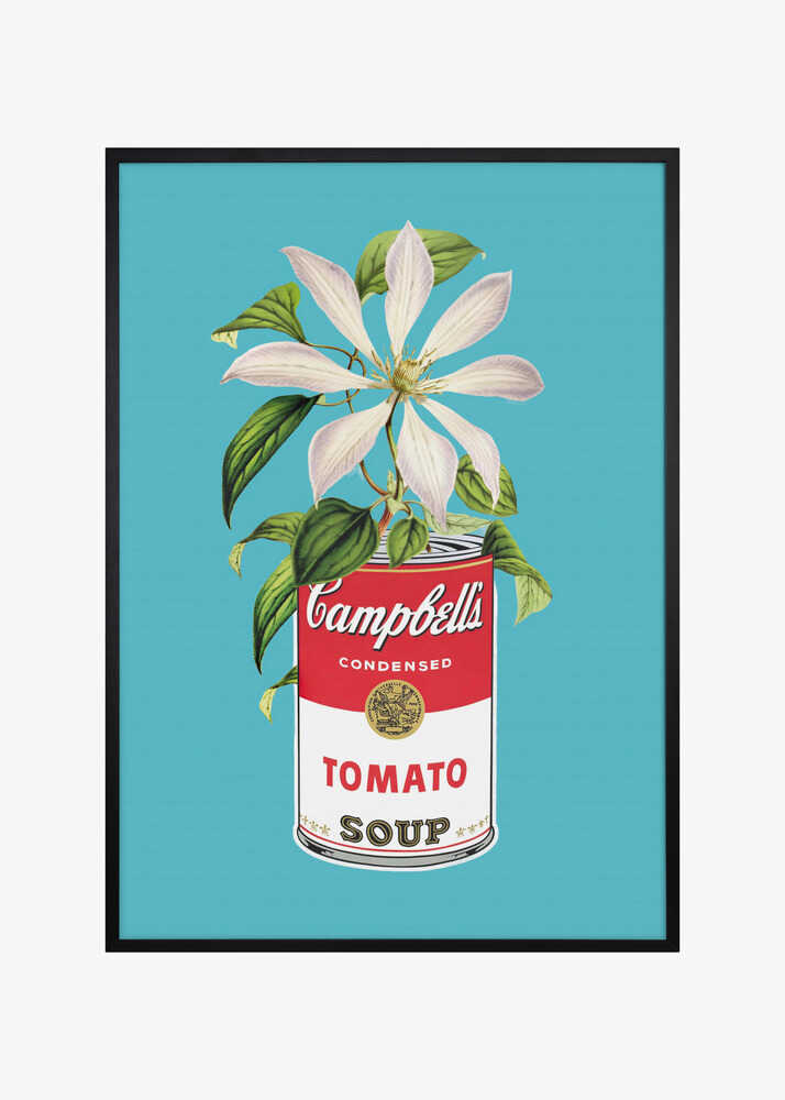 Campbells and Flowers