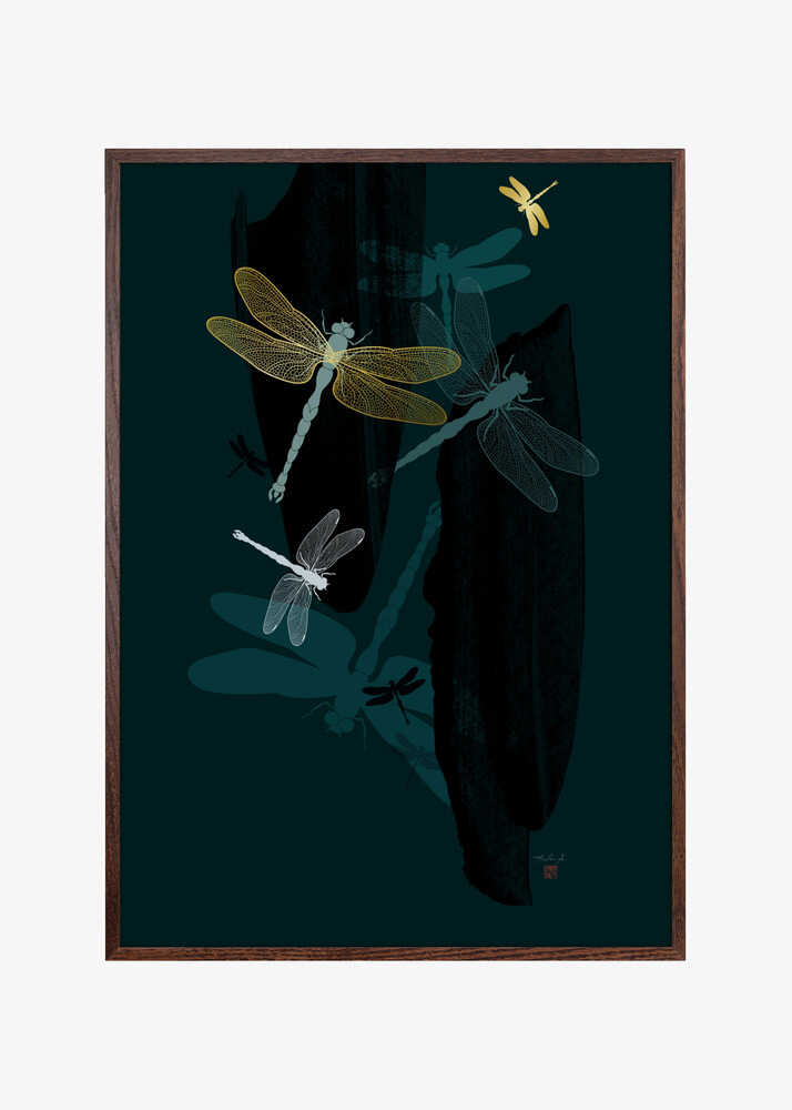 Midnight Dragonflies