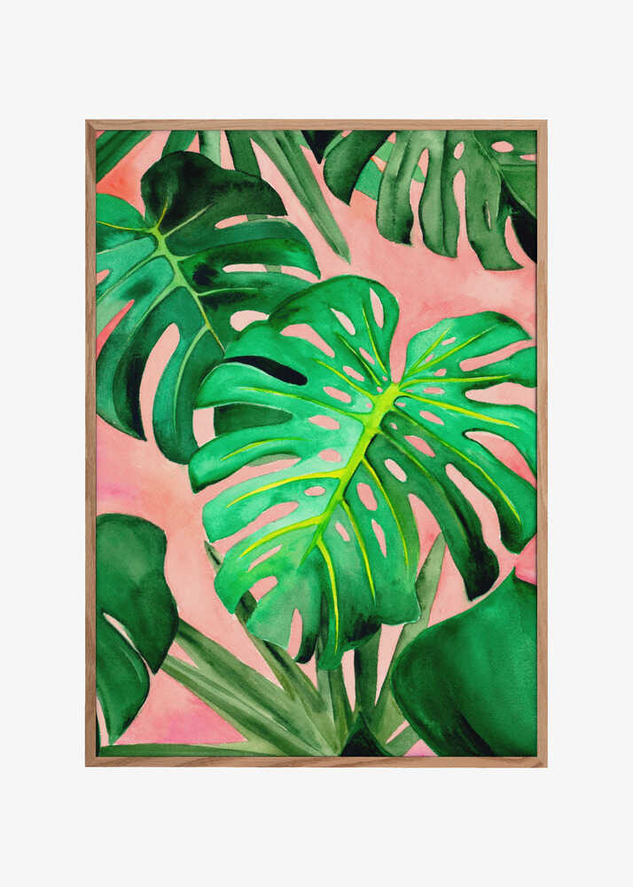 Monstera