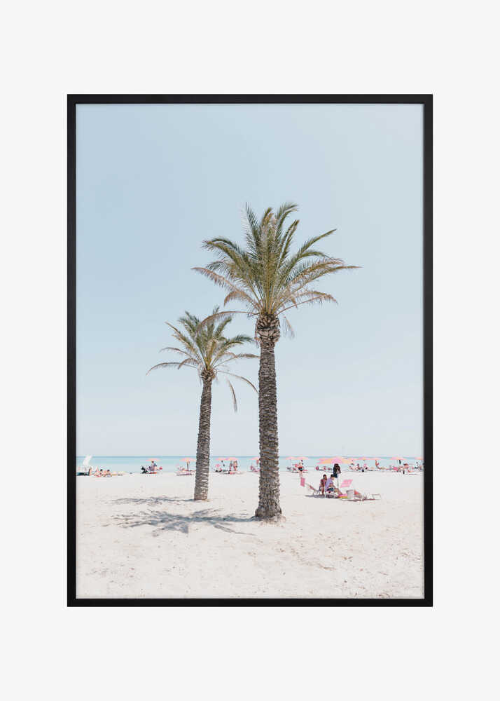 Palm tree at the beach