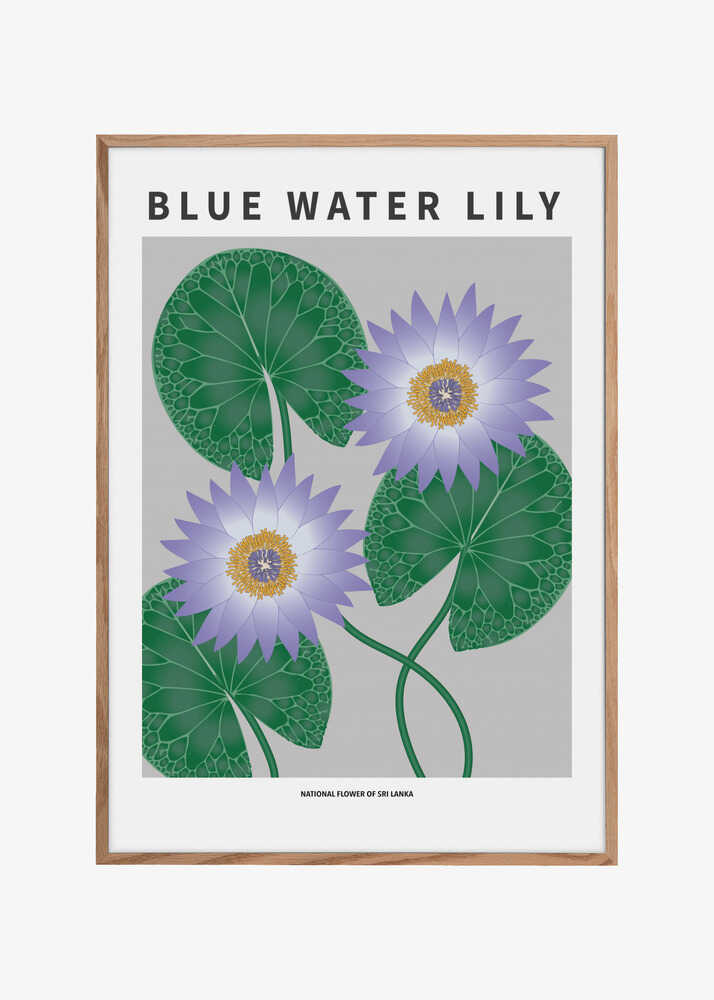 Blue Water Lily - National flower of Sri Lanka