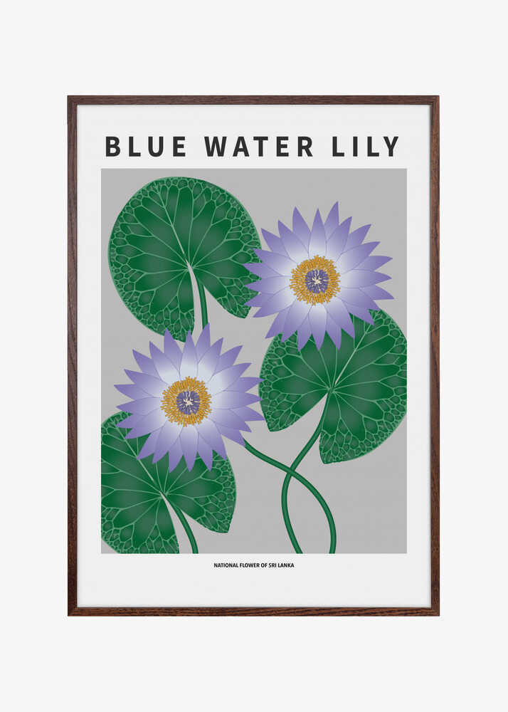 Blue Water Lily - National flower of Sri Lanka