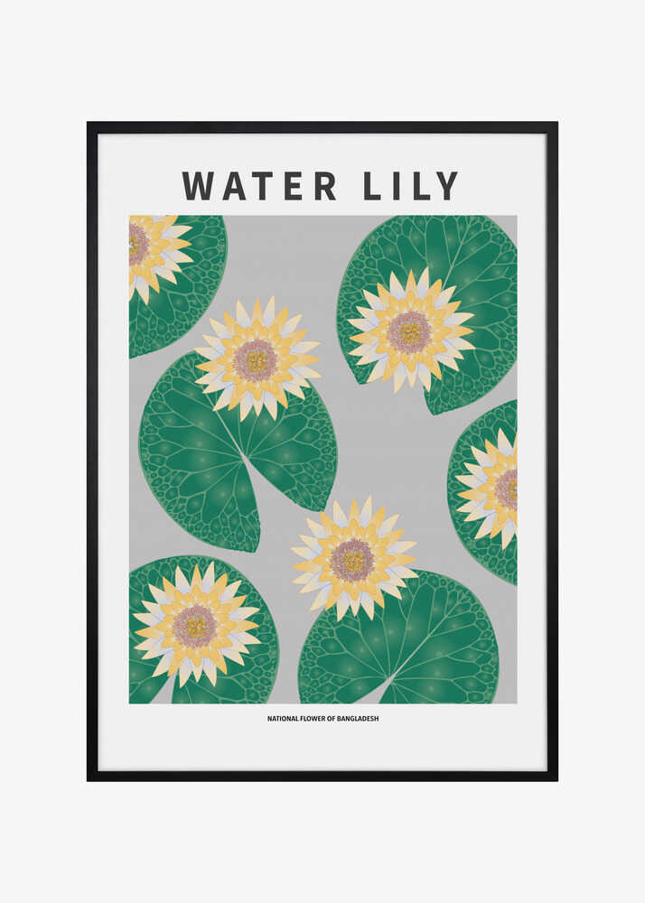 Water lily - National flower of Bangladesh