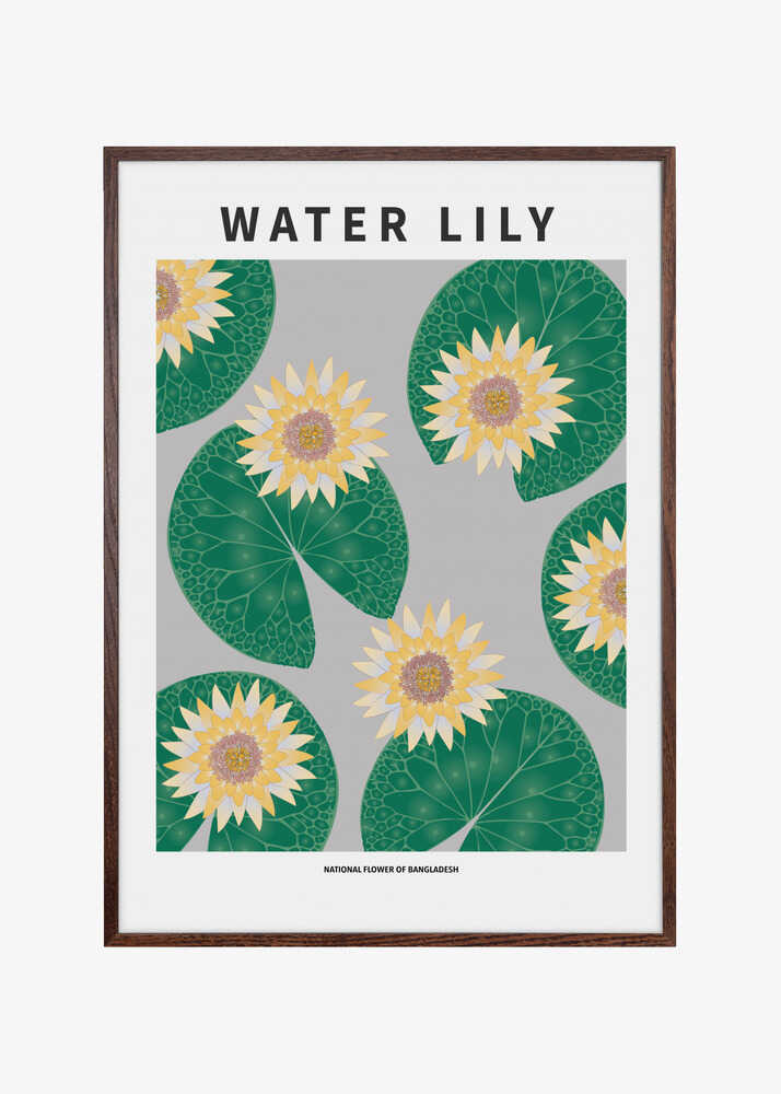 Water lily - National flower of Bangladesh