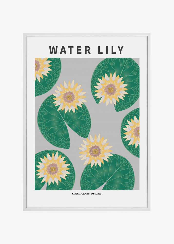 Water lily - National flower of Bangladesh