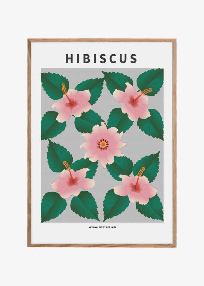 Hibiscus  - National flower of Haiti
