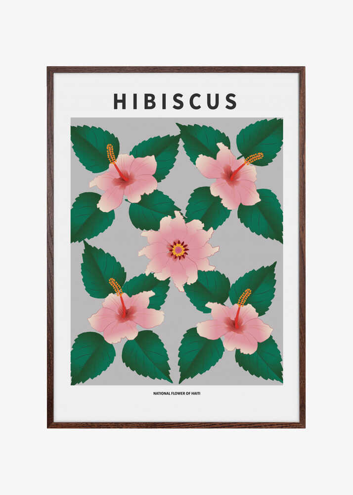 Hibiscus  - National flower of Haiti