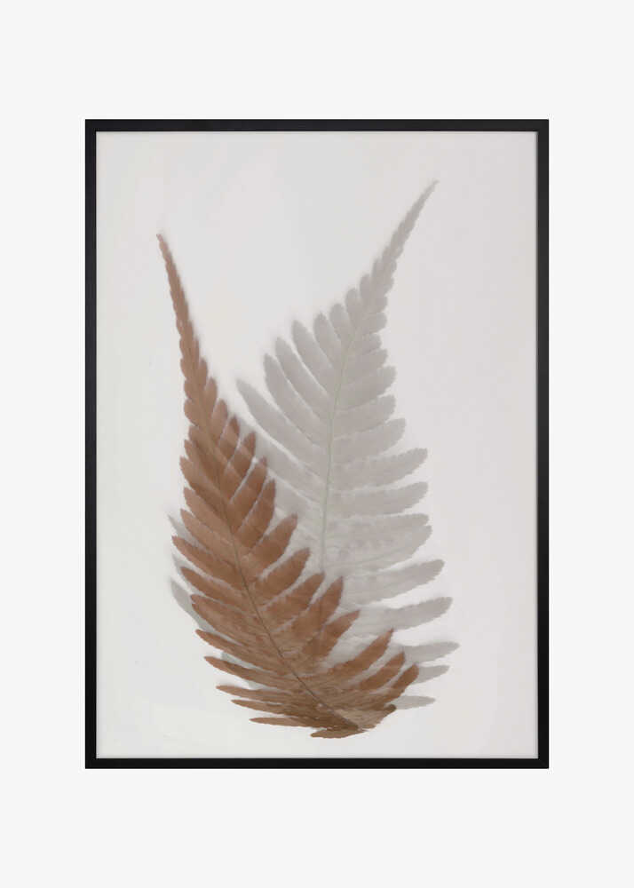 Autumn Fern