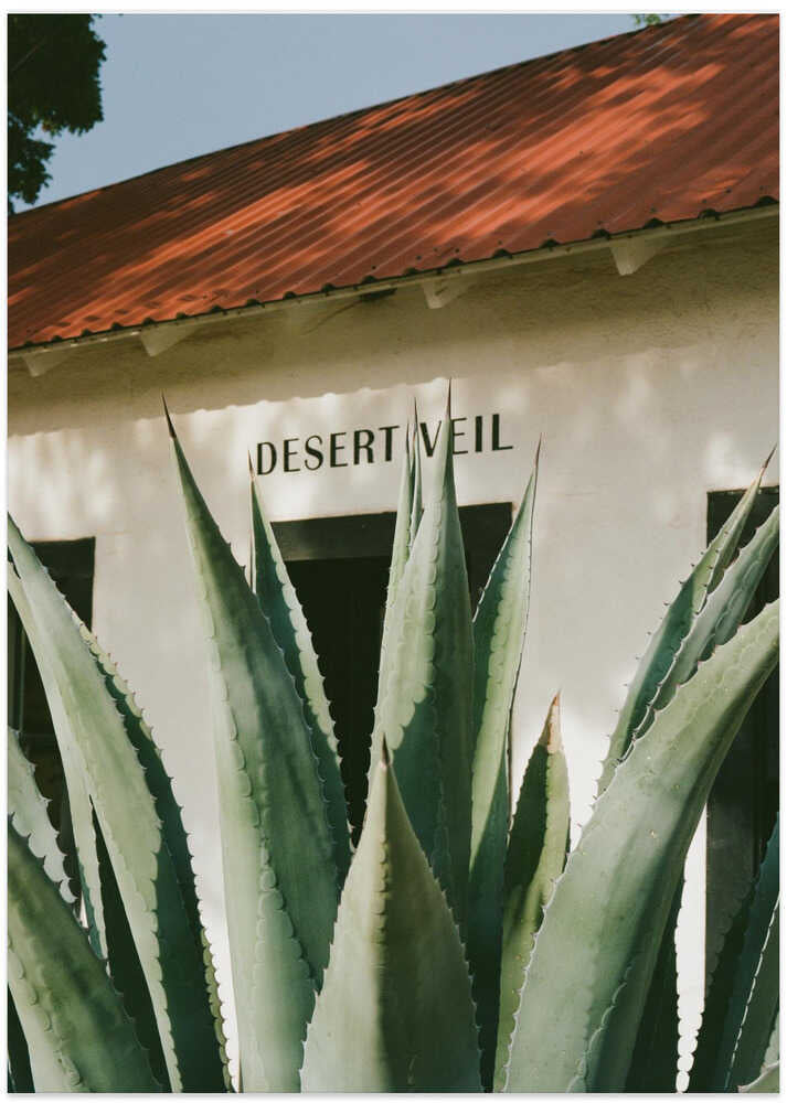 Desert Veil